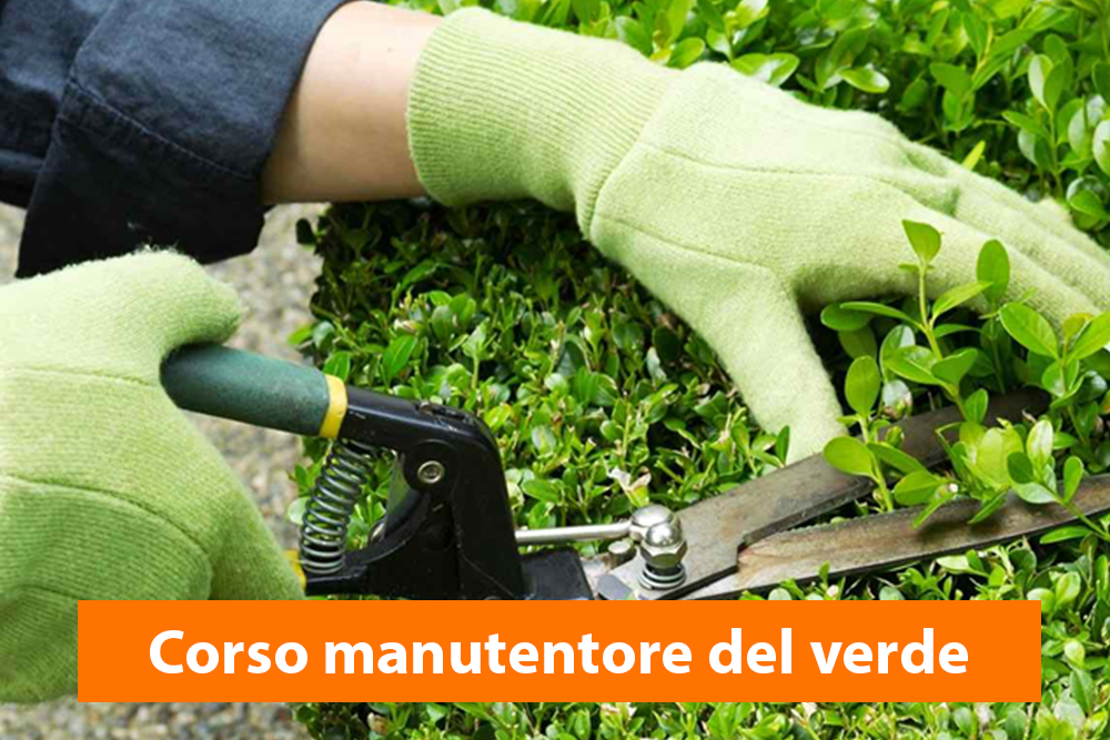 Corso manutentore del verde