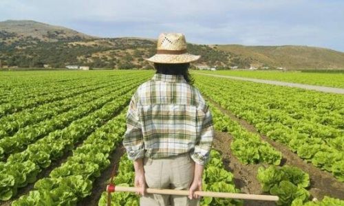 CORSO OPERATORE DI FATTORIA DIDATTICA